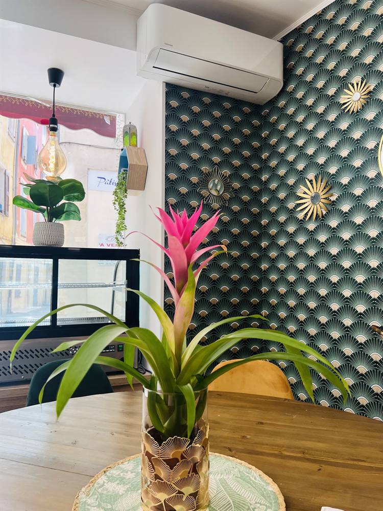 Un bromélia rose dans un vase sur une table en bois, devant le papier peint vert