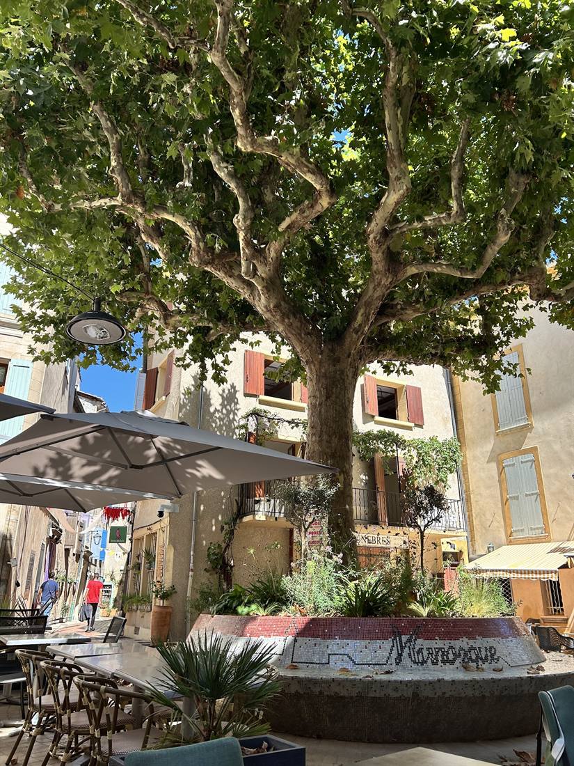 La place ombragée par un platane, avec le banc circulaire peint « Manosque »
